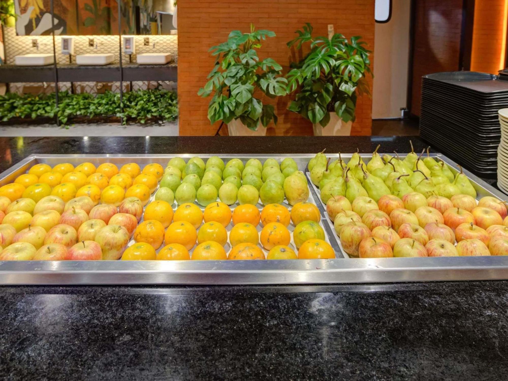 Ibis Rio De Janeiro Santos Dumont — Fotos 1